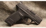 Springfield Armory ~ Hellcat ~ 9mm Luger - 1 of 3