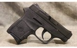 Smith & Wesson ~ M&P Bodyguard 3 ~ .380 ACP - 1 of 2