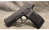 Sig Sauer ~ P365 ~ .380 ACP - 2 of 2