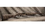 Winchester ~ SXP ~ 12 Gauge