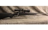 Remington ~ 783 ~ .300 Win Mag