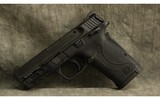 Smith & Wesson ~ M&P 380 EZ ~ .380 ACP - 2 of 2