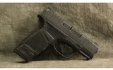 Springfield Armory ~ Hellcat ~ 9mm Luger - 1 of 2