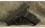Springfield Armory ~ Hellcat ~ 9mm Luger - 2 of 2