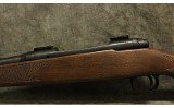 Savage Arms ~ 110 ~ 7mm Rem Mag - 8 of 10