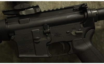 Bushmaster ~ XM15-E2S ~ 5.56 NATO - Image 8 of 10