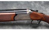 Legacy ~ Pointer ~ 12ga - 7 of 12