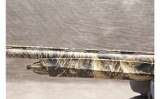 Retay ~ Masai Mara ~ 12 Gauge - 9 of 12