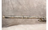 Retay ~ Masai Mara ~ 12 Gauge - 10 of 12