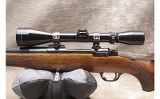 Ruger ~ M77 ~ .243 Winchester - 6 of 12