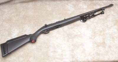 Ruger ~ American ~ .22 LR