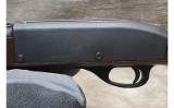 Remington ~ Nylon 66 ~ .22 LR - 11 of 13