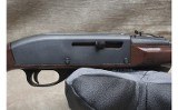 Remington ~ Nylon 66 ~ .22 LR - 4 of 13