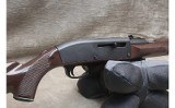 Remington ~ Nylon 66 ~ .22 LR - 3 of 13
