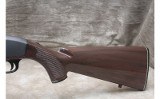 Remington ~ Nylon 66 ~ .22 LR - 12 of 13