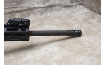 Smith & Wesson ~ M&P 15-22 Sport ~ .22 LR - Image 4 of 9