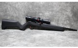 Ruger ~ 10/22 ~ .22 LR