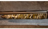 Pointer ~ Phenoma ~ 12 Gauge - 6 of 10