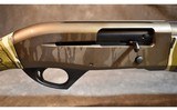 Pointer ~ Phenoma ~ 12 Gauge - 3 of 10