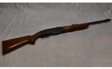 Remington ~ 742 ~ .30-06 SPRG