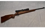 Remington ~ 700 ~ .270 WIN