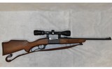 savage ~ 99e ~ .243 winchester - 1 of 10