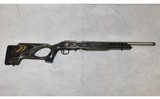 Ruger ~ American ~ .22 Long Rifle - 1 of 11