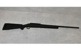 Remington ~ 700 ~ .300 Winchester Magnum