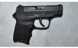 Smith & Wesson ~ M&P BodyGuard 380 ~ .380 ACP