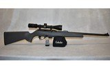 Remington ~ 597 ~ .22 Long Rifle - 11 of 11
