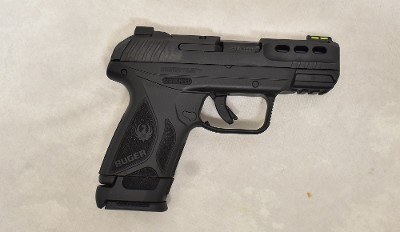 Ruger ~ Security-380 ~ .380 Auto