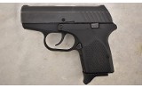 Remington ~ RM380 ~ .380 Auto - 2 of 3