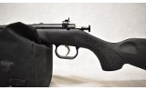 Crickett ~ Crickett ~ .22 S,L,LR ~ 16.0" Barrel - 8 of 10