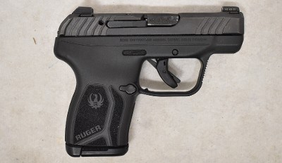 Ruger ~ LCP Max ~ .380 Auto