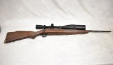 Savage ~ 10 ~ .22-250 Remington - Image 1 of 11