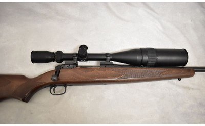 Savage ~ 10 ~ .22-250 Remington - Image 2 of 11