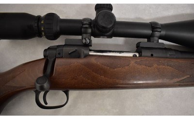 Savage ~ 10 ~ .22-250 Remington - Image 4 of 11