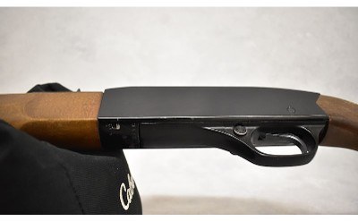 Winchester ~ 190 ~ .22 L or LR - Image 7 of 10
