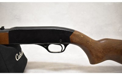 Winchester ~ 190 ~ .22 L or LR - Image 8 of 10