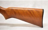 Remington ~ Model 572 ~ .22 S,L,LR ~ 23.5" Barrel - 9 of 10