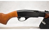 Remington ~ Model 572 ~ .22 S,L,LR ~ 23.5" Barrel - 3 of 10
