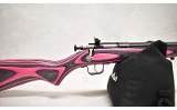 Crickett ~ Crickett ~ .22 S, L, LR ~ 16.0" Barrel - Image 3 of 10