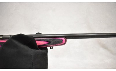Crickett ~ Crickett ~ .22 S, L, LR ~ 16.0" Barrel - Image 4 of 10