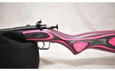 Crickett ~ Crickett ~ .22 S, L, LR ~ 16.0" Barrel - Image 8 of 10