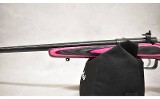 Crickett ~ Crickett ~ .22 S, L, LR ~ 16.0" Barrel - Image 6 of 10