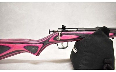 Crickett ~ Crickett ~ .22 S, L, LR ~ 16.0" Barrel - Image 3 of 10