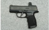 SIG Sauer ~ 365X ~ 9MM - 2 of 2