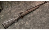 Savage Model 11 Hog Hunter .308 Winchester - 1 of 10