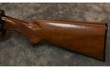 Charles Daly Auto Pointer 12 Gauge - 9 of 10