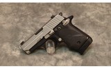 Sig Sauer~P238~.380 ACP - 2 of 2